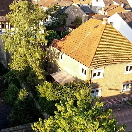 Schwenck Wollstein